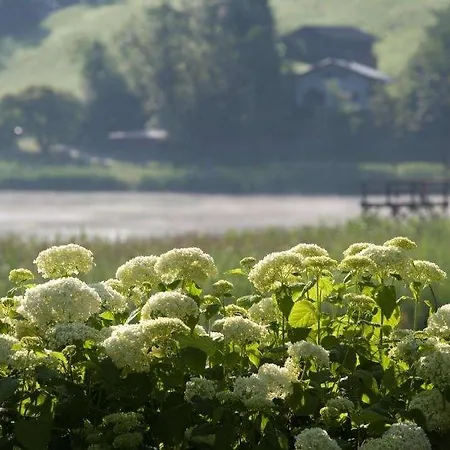 Der Seehof