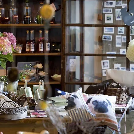 Ξενοδοχείο Seehof 4*